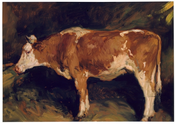 Estudio de vaca Álvarez de Sotomayor y Zaragoza, Fernando